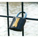 Candado de 50MM en marca INGCO, DIPL0501