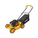 Cortadora de grama de 4 ruedas de gasolina, Ingco, GLM141181